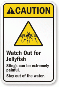 watch_out_jellyfish_sign__91196